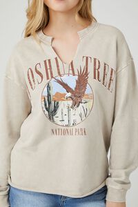 KHAKI/MULTI Joshua Tree Graphic Pullover, image 5